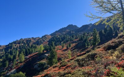 Herfsttip: wandeling Brunnenkogelhaus in september